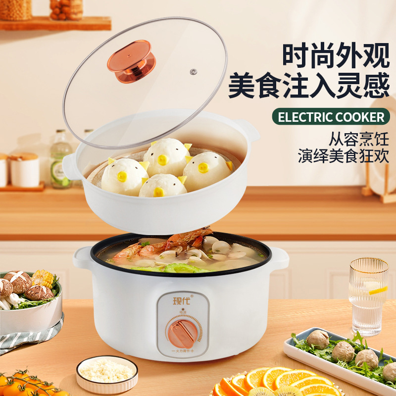 Multifunctionele mini elektris - Kitchen Appliances For Cooking recensie en prijs