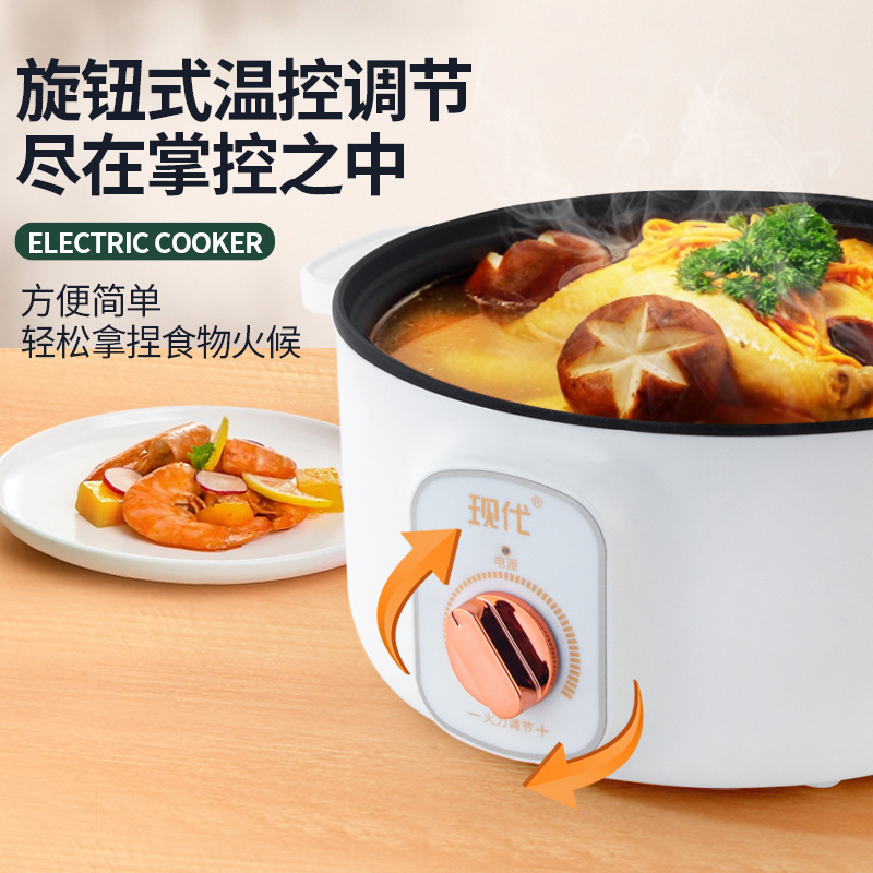 Multifunctionele mini elektris - Kitchen Appliances For Cooking recensie en prijs